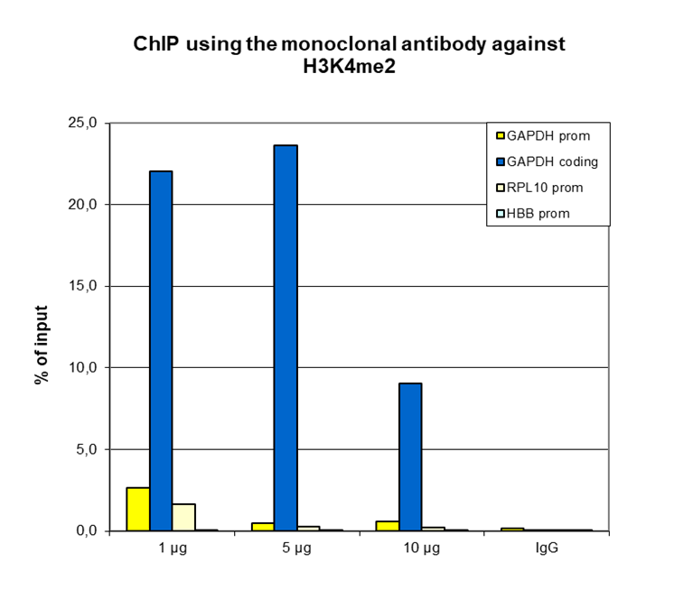 H3K4me2 Antibody ChIP Grade