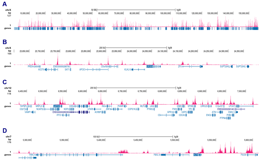 H3K4me2 Antibody CUT and Tag validation