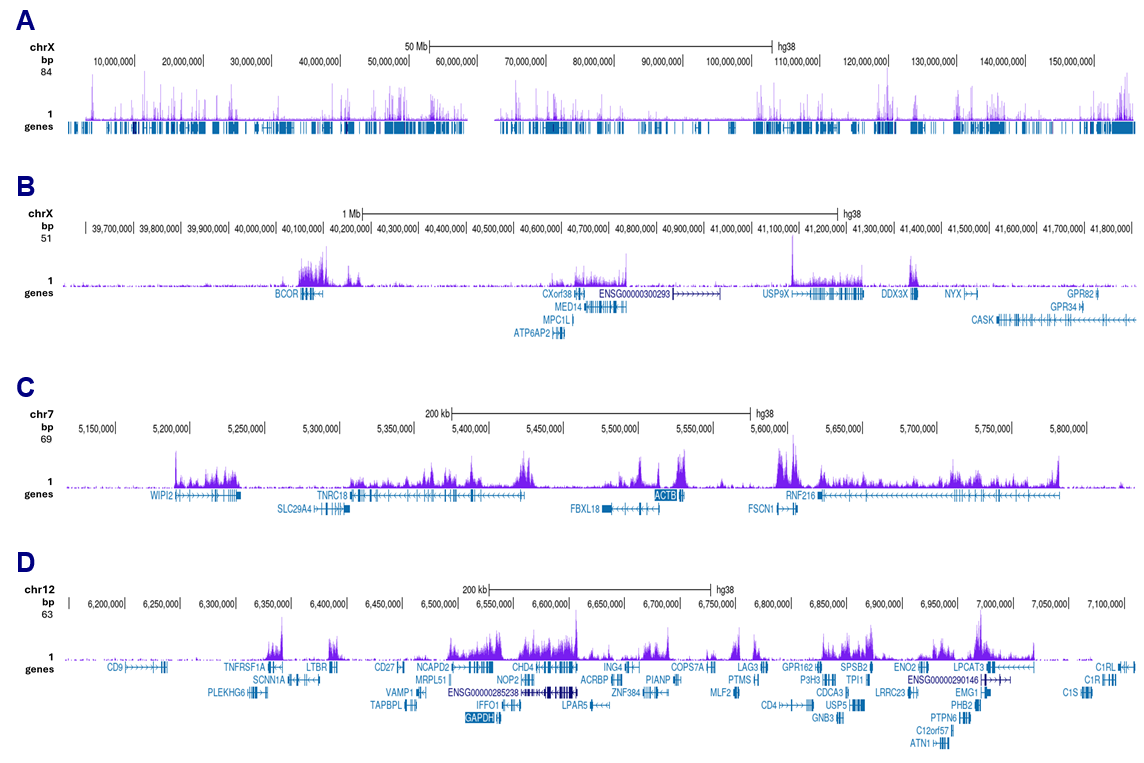 H3K36me3 Antibody CUT and Tag validation