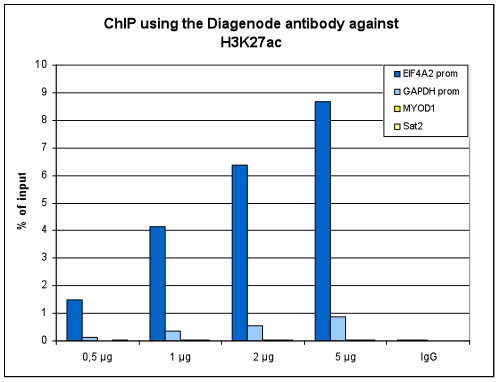 H3K27ac Antibody ChIP Grade