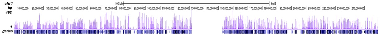 CTCF Antibody ChIP-seq Grade