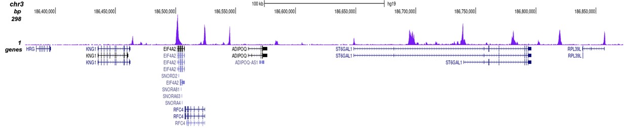 CTCF Antibody validated in ChIP-seq