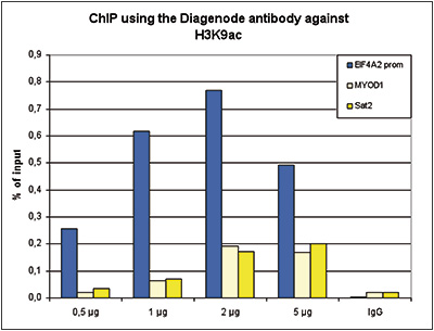 H3K9ac Antibody ChIP Grade