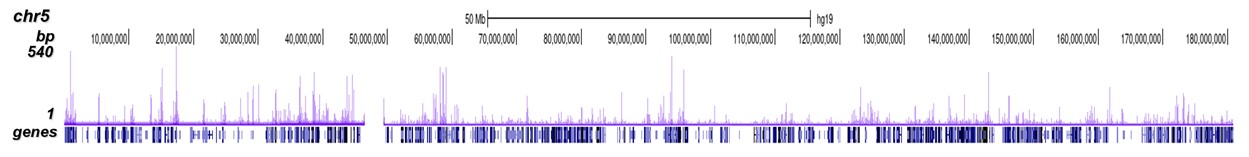 p300 Antibody ChIP-seq Grade