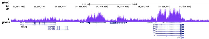 H2BK123ub Antibody validated in ChIP-seq