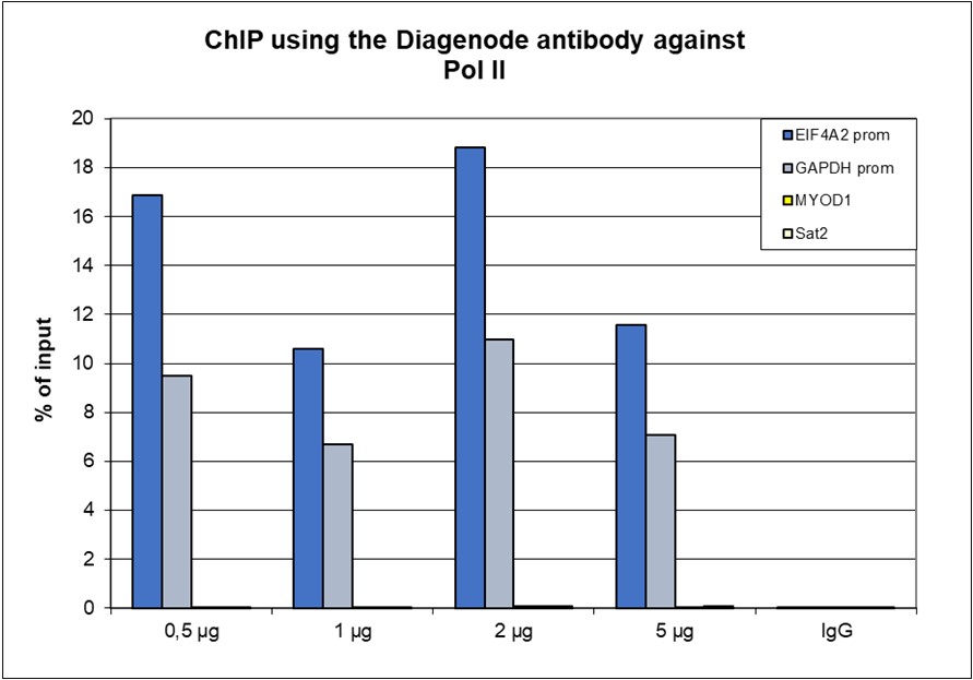 Pol II monoclonal antibody ChIP results