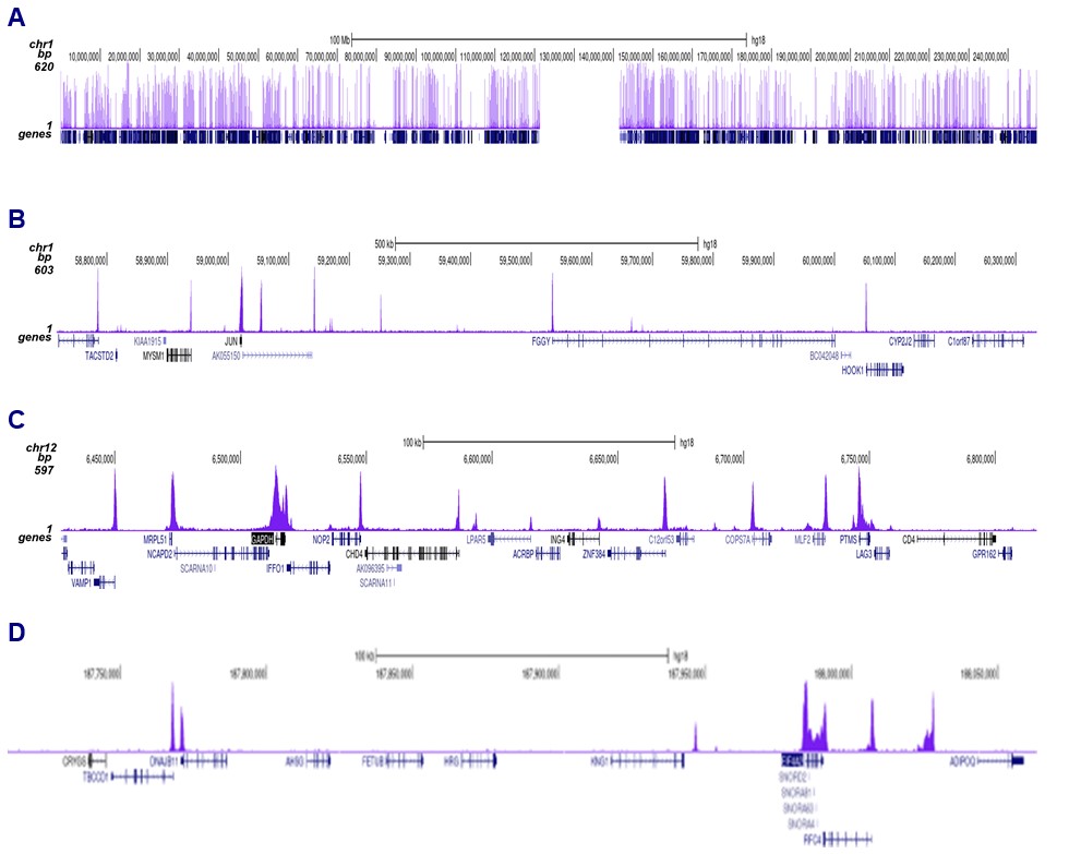 Pol 2 Antibody ChIP-seq results 