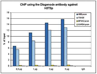 H3T3p Antibody ChIP Grade