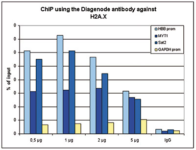H2A.X Antibody ChIP Grade