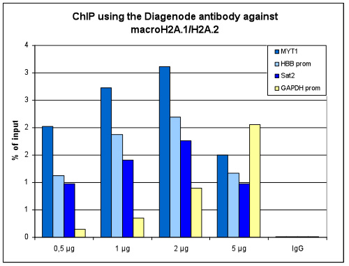 macroH2A.1/H2A.2 Antibody ChIP Grade