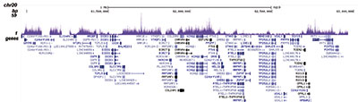 macroH2A.1/H2A.2 Antibody ChIP-seq Grade