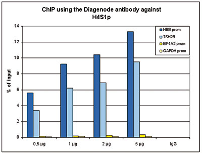 H4S1p Antibody ChIP Grade
