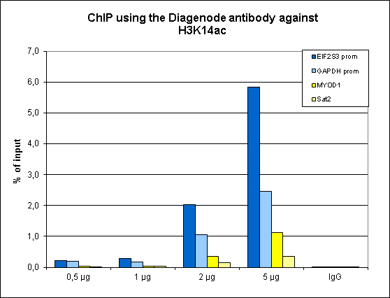 H3K14ac Antibody ChIP Grade