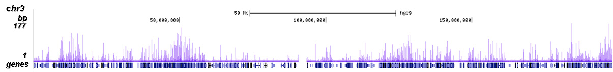 H3K14ac Antibody ChIP-seq Grade