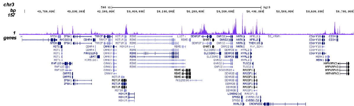 H3K14ac Antibody for ChIP-seq 