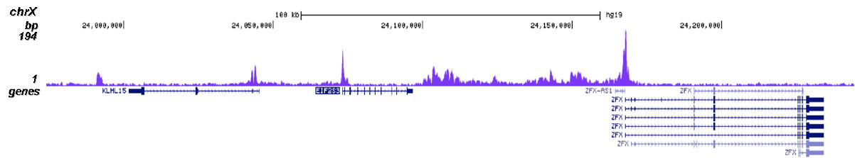 H3K14ac Antibody for ChIP-seq assay