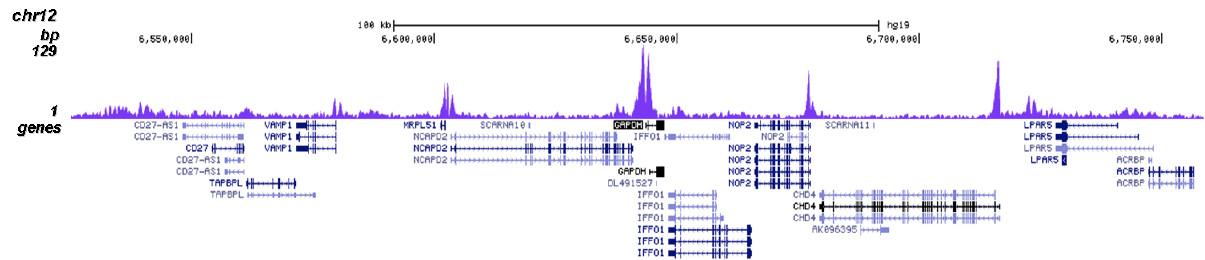 H3K14ac Antibody validated in ChIP-seq 