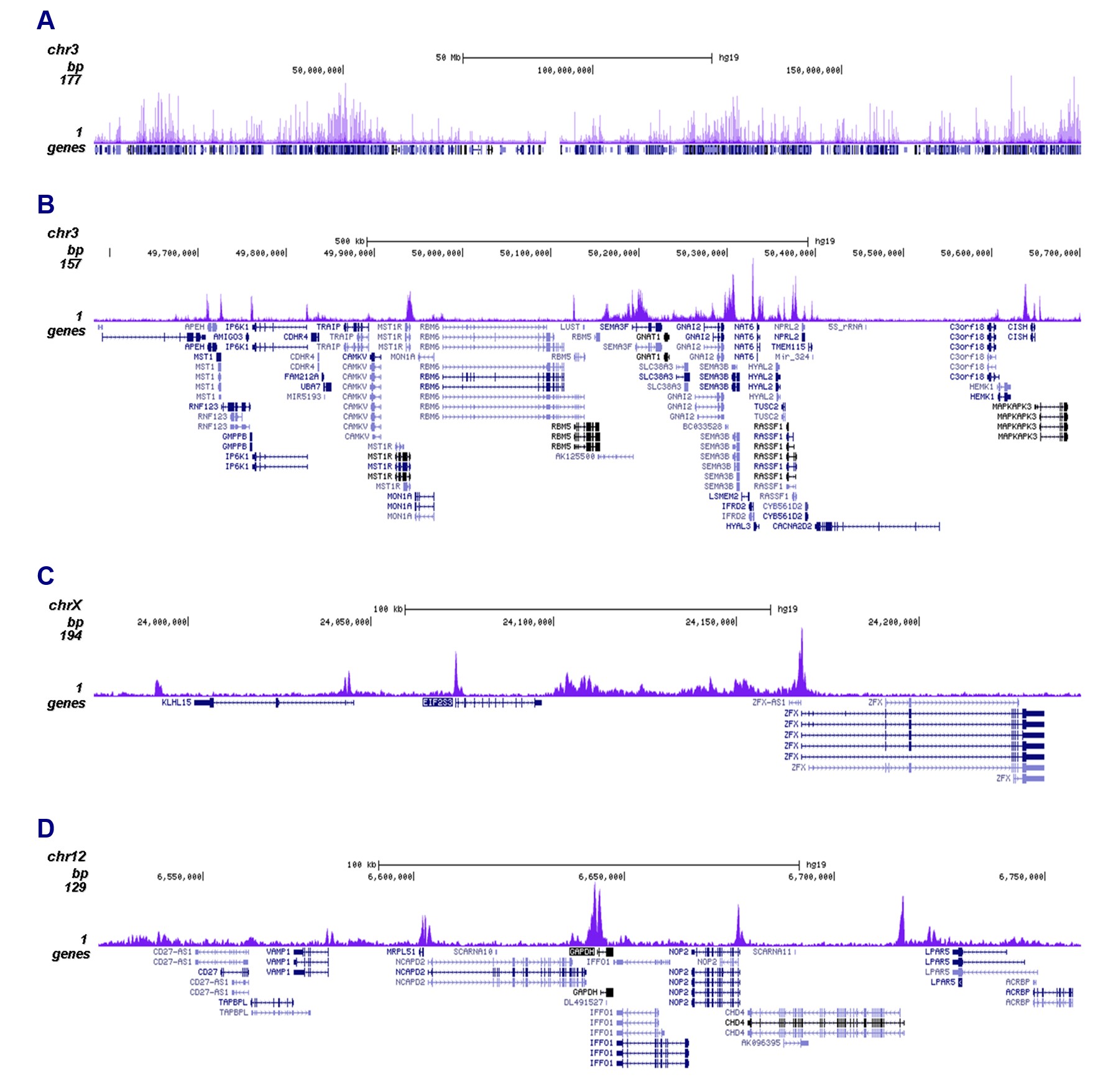 H3K14ac Antibody ChIP-seq Grade