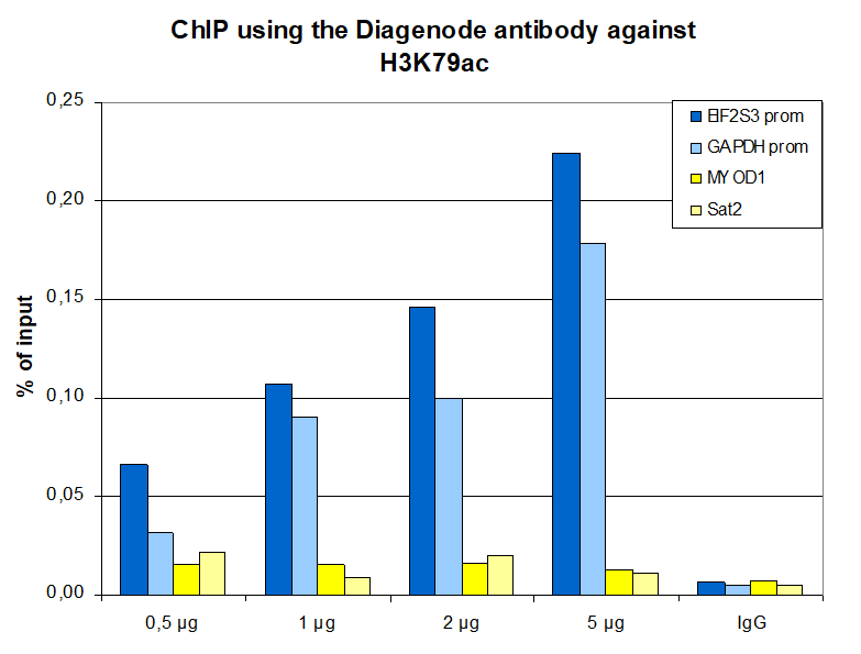 H3K79ac Antibody ChIP Grade