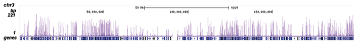 H3K79ac Antibody ChIP-seq Grade