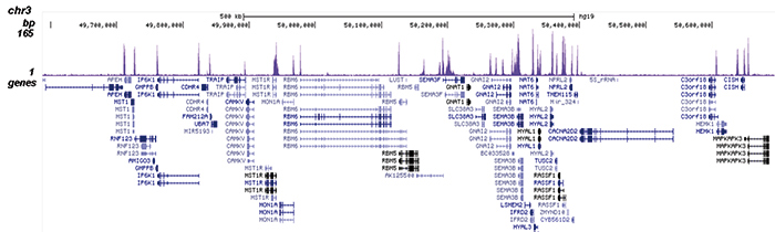 H3K79ac Antibody for ChIP-seq