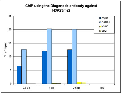 H3K23me2 Antibody ChIP Grade