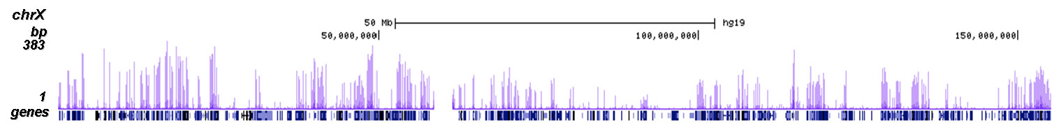 H3K23me2 Antibody ChIP-seq Grade