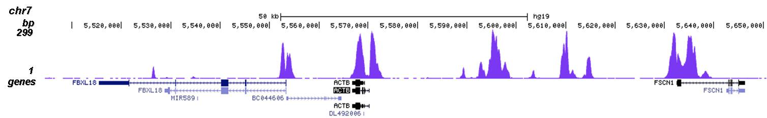 H3K23me2 Antibody for ChIP-seq assay