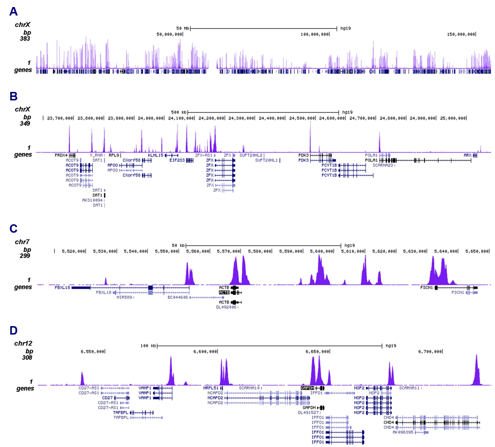 H3K23me2 Antibody ChIP-seq Grade