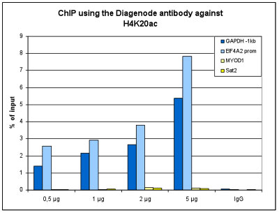 H4K20ac Antibody ChIP Grade