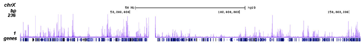 H4K20ac Antibody ChIP-seq Grade