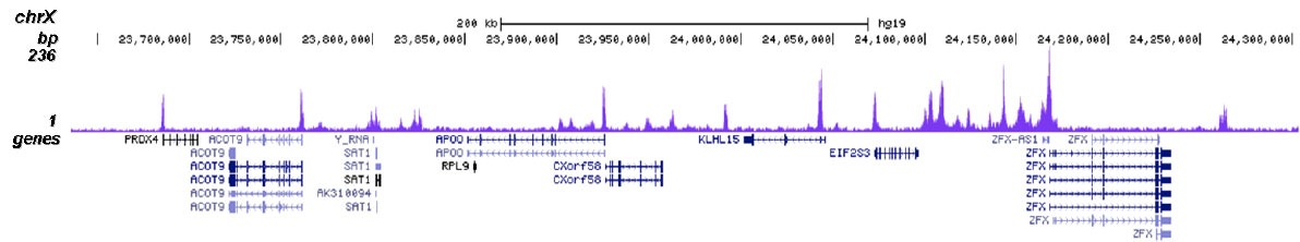 H4K20ac Antibody for ChIP-seq