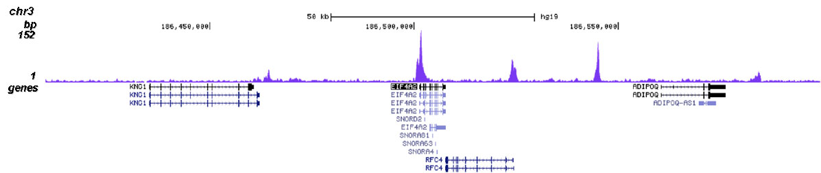 H4K20ac Antibody for ChIP-seq assay