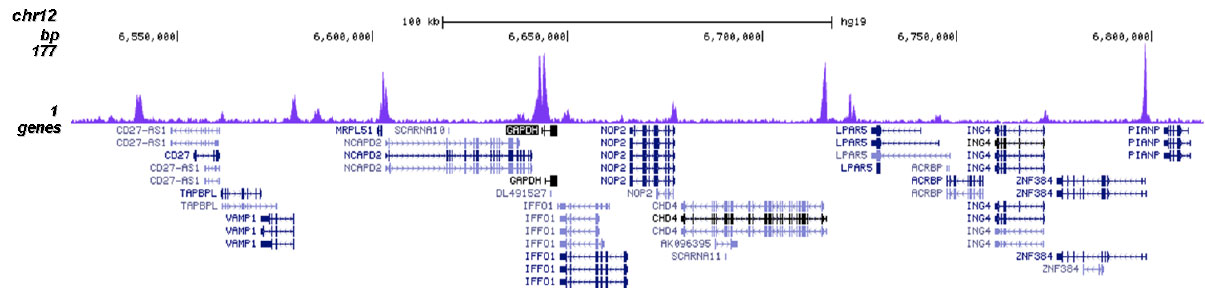 H4K20ac Antibody validated in ChIP-seq