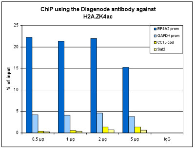 H2A.ZK4ac Antibody ChIP Grade