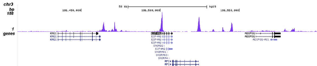 H2A.ZK4ac Antibody for ChIP-seq assay