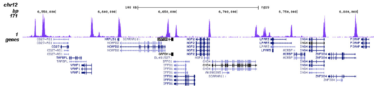 H2A.ZK4ac Antibody validated in ChIP-seq