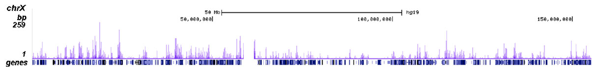 H2BK20ac Antibody ChIP-seq Grade