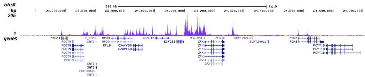 H2BK20ac Antibody for ChIP-seq