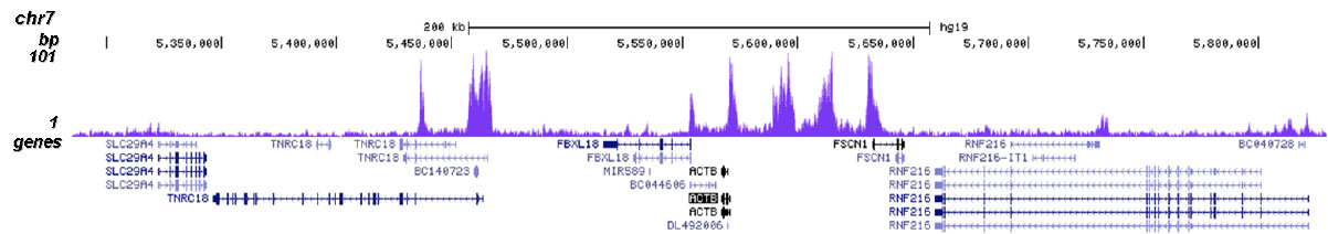 H2BK20ac Antibody for ChIP-seq assay