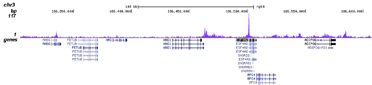 H2BK20ac Antibody validated in ChIP-seq