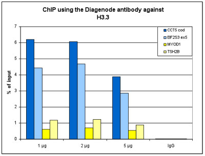 H3.3 Antibody ChIP Grade
