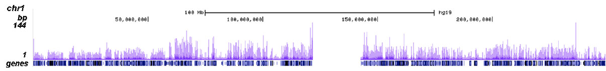 H3.3 Antibody ChIP-seq Grade