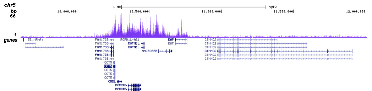 H3.3 Antibody for ChIP-seq assay