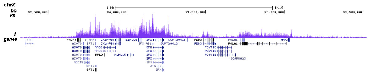 H3.3 Antibody validated in ChIP-seq