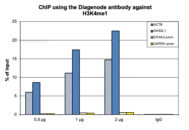 H3K4me1 Antibody ChIP Grade