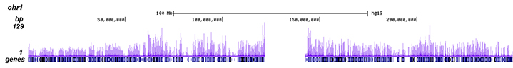 H3K4me1 Antibody ChIP-seq Grade