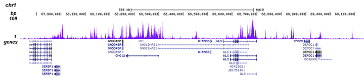 H3K4me1 Antibody for Chip-seq