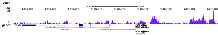 H3K4me1 Antibody for Chip-seq assay