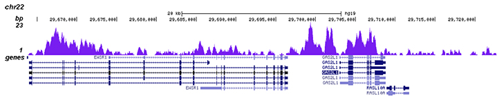 H3K4me1 Antibody validated in Chip-seq